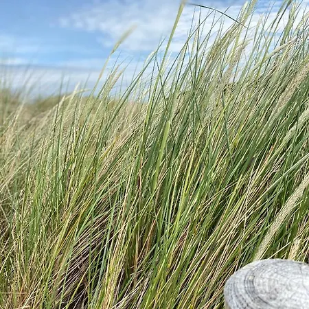 Apartment Sandduene Graal-Mueritz