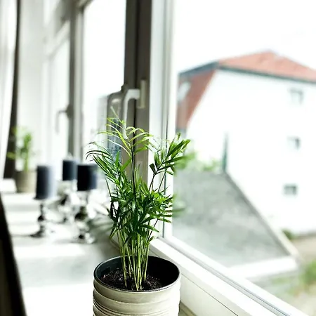 Apartment Sandduene *