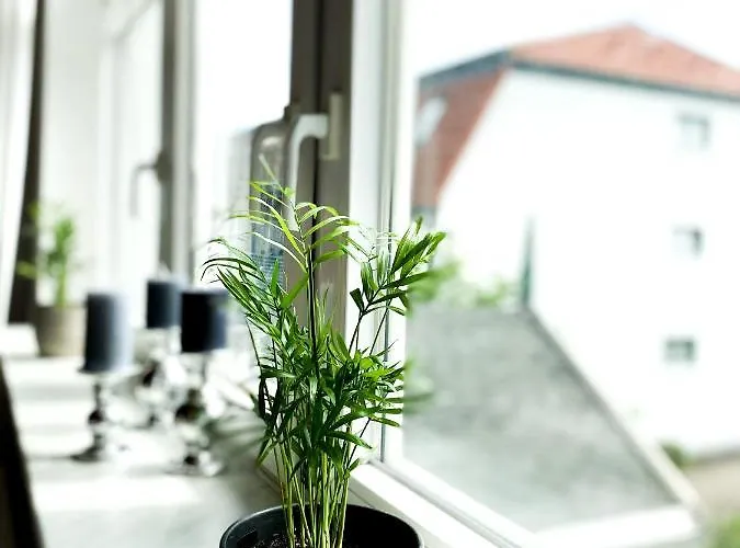 Apartament Sandduene *