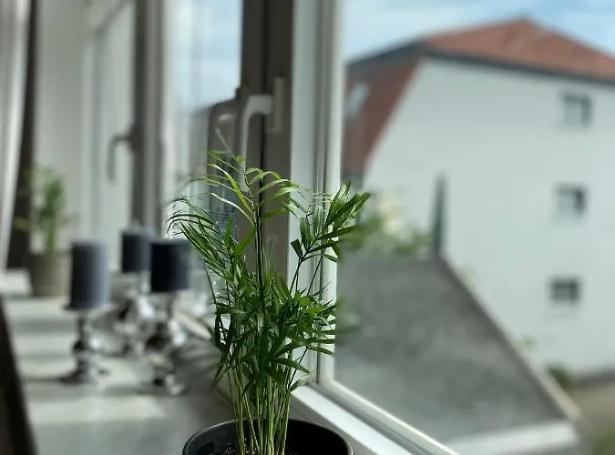 Sandduene Apartament Graal-Mueritz